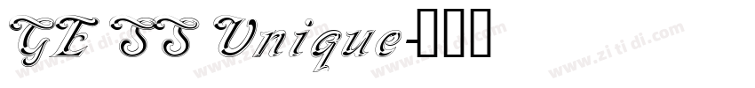 GE SS Unique字体转换
